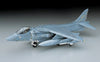 Hasegawa 1/72 AV-8B Harrier II HAD19
