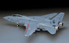 Hasegawa 1/48 F-14D Super Tomcat CVW-4 HAPT12