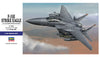 Hasegawa 1/72 F-15E Strike Eagle U.S.A.F. HAE39