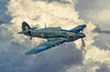 Italeri 1/48 Hurricane Mk.IIC 2828