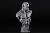 Ninja Printz - 1:8 Uruk Hai (LoTR) Fan Art Bust
