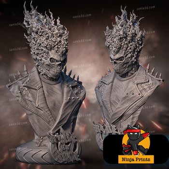 Ninja Printz - 1:10 Ghost Rider (Ghost Rider) Fan Art Bust