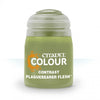 Citadel Plaguebearer Flesh (18ml) 29-42