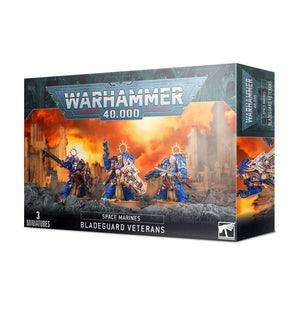 Warhammer 40,000: Space Marines Bladeguard Veterans 48-44