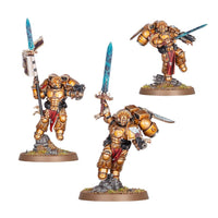 Warhammer 40,000: Blood Angels Sanguinary Guard 41-31