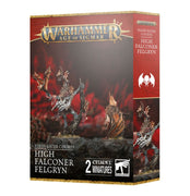 Age of Sigmar: Flesh-eater Courts High Falconer Felgryn 91-87