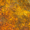 Dirty Down Yellow Rust Effect 25ml - Water Soluble Paint