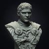 Ninja Printz - 1:8 Commodus (Gladiator) Fan Art Bust