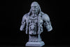 Ninja Printz - 1:8 Durotan (WoW) Fan Art Bust