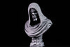 Ninja Printz - 1:8 La Muerte Fan Art Bust