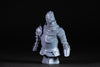 Ninja Printz - 1:8 Vyke (Elden Ring) Fan Art Bust