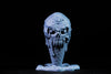 Ninja Printz - 1:1 Ice Scream Skull