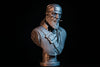 Ninja Printz - 1:8 Silas Scar Beard Fan Art Bust