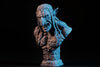 Ninja Printz - 1:8 Swamp Troll Fan Art Bust