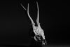 Ninja Printz - 1:1 Deer Skull