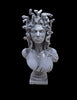 Ninja Printz - 1:8 Medusa Fan Art Bust