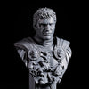 Ninja Printz - 1:8 Commodus (Gladiator) Fan Art Bust