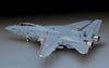 Hasegawa 1/48 F-14D Super Tomcat CVW-4 HAPT12