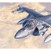 Hasegawa 1/72 AV-8B Harrier II HAD19