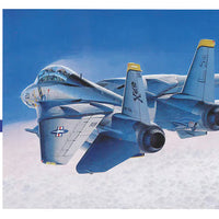 Hasegawa 1/72 F-14A Tomcat Atlantic Fleet US Navy HAE14