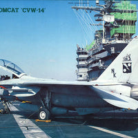 Hasegawa 1/48 F-14D Super Tomcat CVW-4 HAPT12