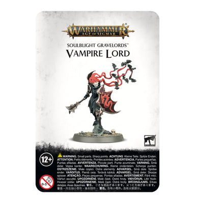 Age of Sigmar: Soulblight Gavelords Vampire Lord 91-52