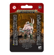 Age of Sigmar: Maggotkin of Nurgle Lord of Plagues 83-32