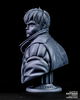 Ninja Printz - 1:8 Kaneda (Akira) Fan Art Bust