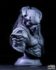 Ninja Printz - 1:8 The Predator (Predator) Fan Art Bust