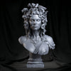 Ninja Printz - 1:8 Medusa Fan Art Bust