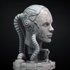 Ninja Printz - 1:4 Cyborg Bust