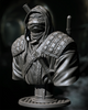 Ninja Printz - 1:8 Ronin (TMNT) Fan Art Bust