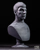 Ninja Printz - 1:8 Spock (Star Trek) Fan Art Bust