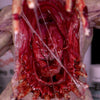 Dirty Down Gore 15ml