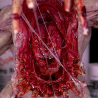 Dirty Down Gore 15ml