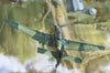 Border Model 1/35 JUNKERS JU87 G1/G2 STUKA BF-002