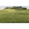All Game Terrain - 4 mm Medium Green Static Grass G6572