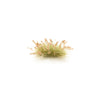 All Game Terrain - Brown Seed Tufts G6631