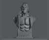 Ninja Printz - 1:8 Hellboy Fan Art Bust