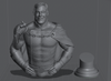 Ninja Printz - 1:8 Homelander (The Boys - Comic Version) Fan Art Bust