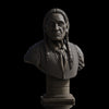 Ninja Printz - 1:8 Cheyenne Elder Bust