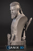 Ninja Printz - 1:8 Ragnar Lothbrok (Vikings) Fan Art Bust