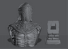 Ninja Printz - 1:8 Yuria of Londor (Dark Souls 3) Fan Art Bust