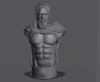 Ninja Printz - 1:8 Leonidas (300) Fan Art Bust
