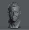 Ninja Printz - 1:4 Michael Myers (Halloween) Bust