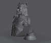 Ninja Printz - 1:8 King Aragorn (LoTR) Fan Art Bust