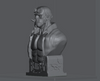 Ninja Printz - 1:8 Hellboy Fan Art Bust