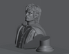 Ninja Printz - 1:8 Frodo Baggins (LoTR) Fan Art Bust