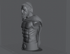 Ninja Printz - 1:8 Leonidas (300) Fan Art Bust