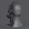 Ninja Printz - 1:4 Ghoul Head Bust